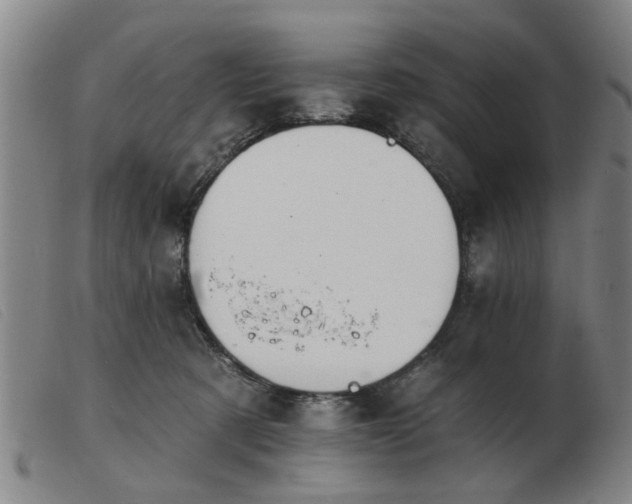 X0000103420321200809191643