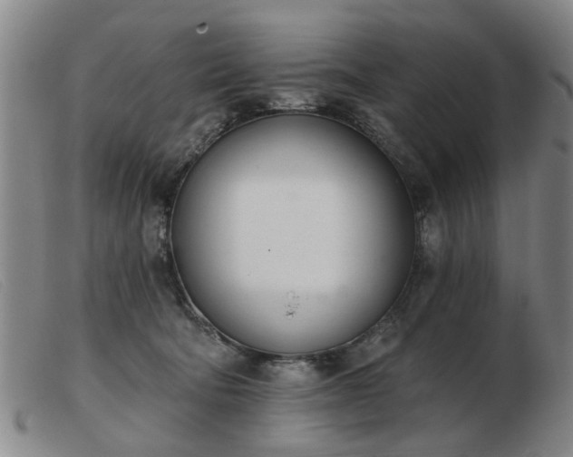 X0000103420322200809191643