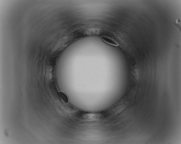 X0000103420323200809191643