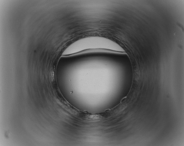 X0000103420324200809191643
