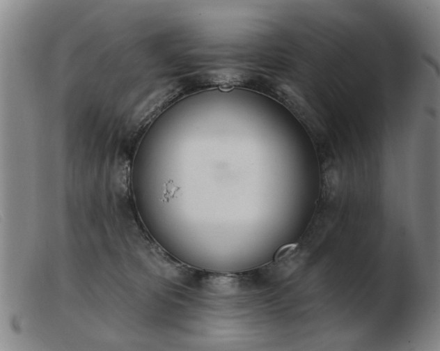 X0000103420325200809191643