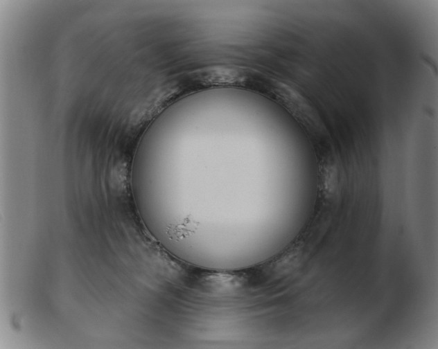 X0000103420326200809191643