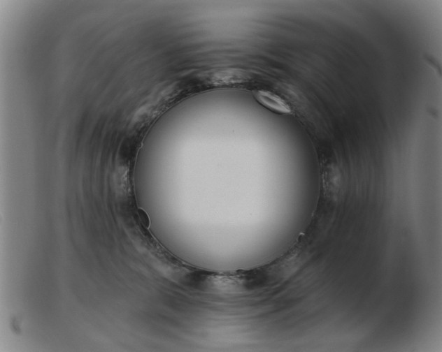 X0000103420327200809191643