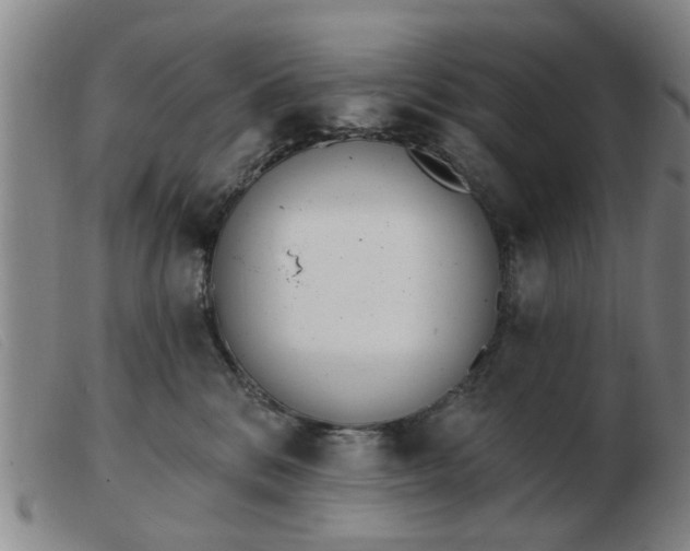 X0000103420328200809191643