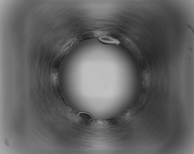 X0000103420329200809191643