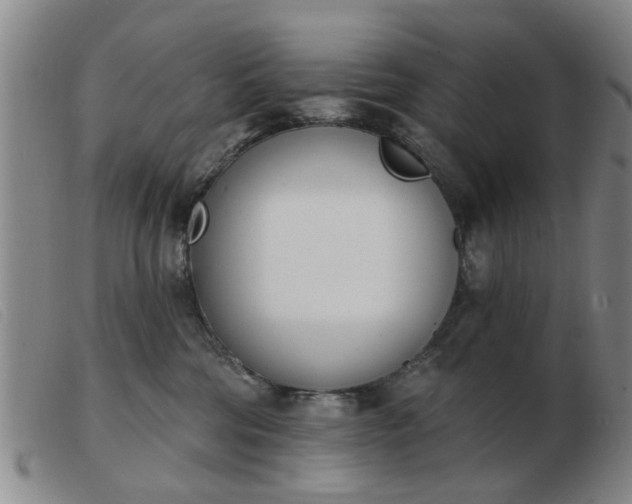 X0000103420330200809191643