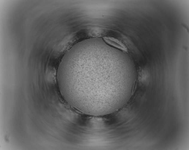 X0000103420332200809191643