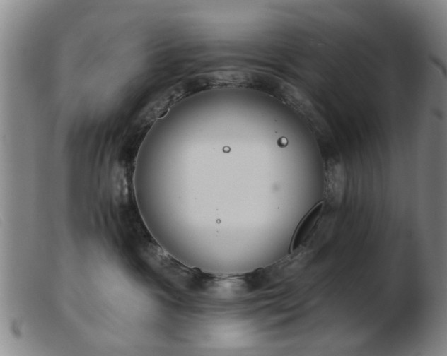 X0000103420333200809191643
