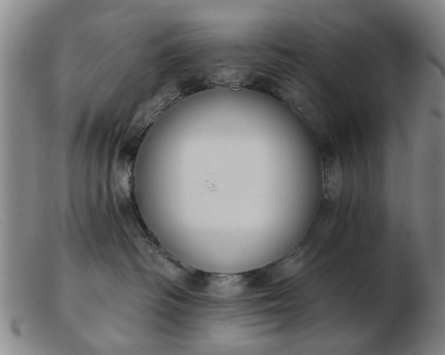 X0000103420334200809191643