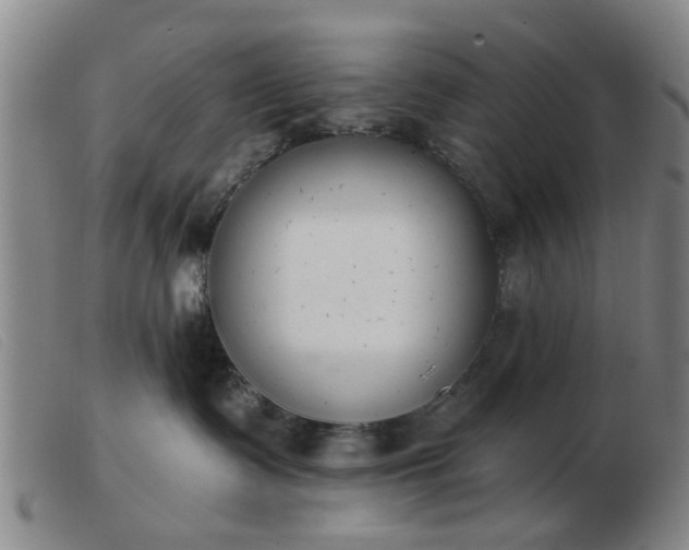 X0000103420335200809191643
