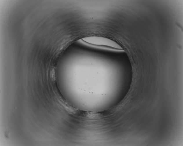X0000103420336200809191643