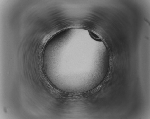X0000103420337200809191642
