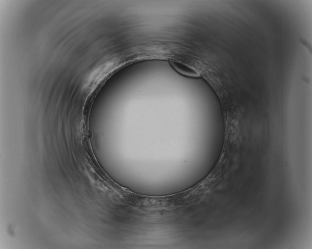 X0000103420338200809191642
