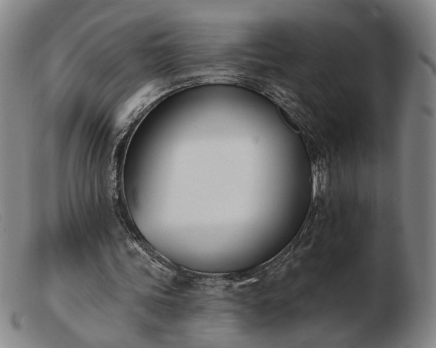 X0000103420339200809191642