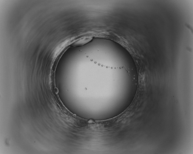 X0000103420340200809191642