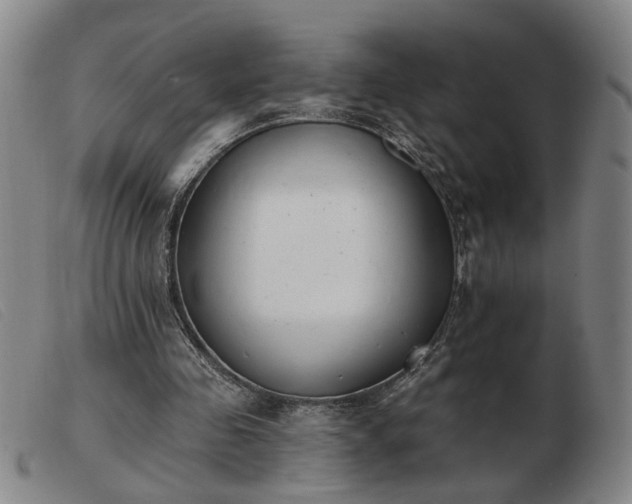 X0000103420341200809191642