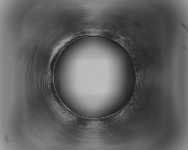 X0000103420342200809191642