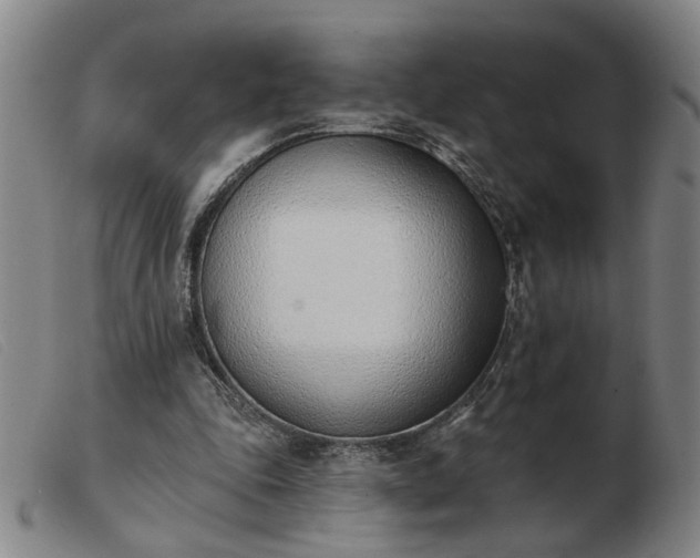 X0000103420343200809191642