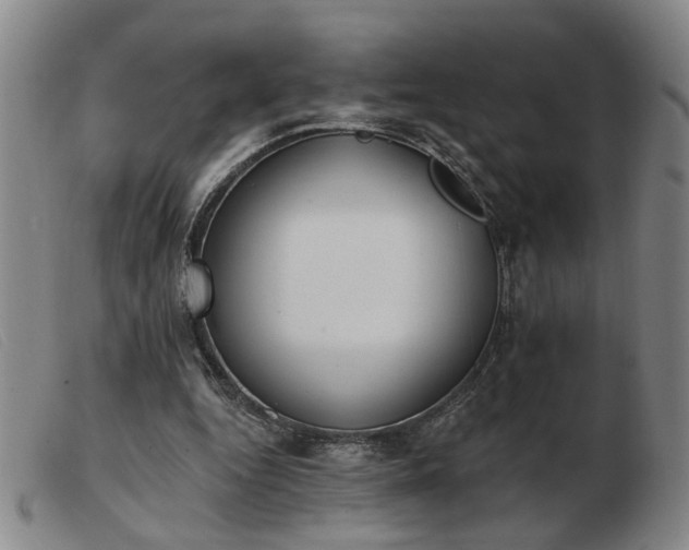 X0000103420344200809191642