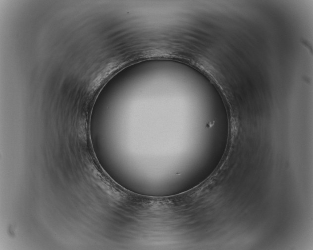 X0000103420345200809191642