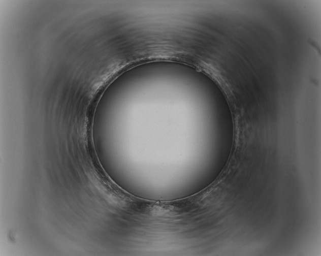 X0000103420346200809191642