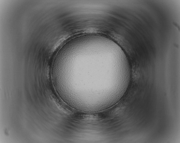 X0000103420347200809191642
