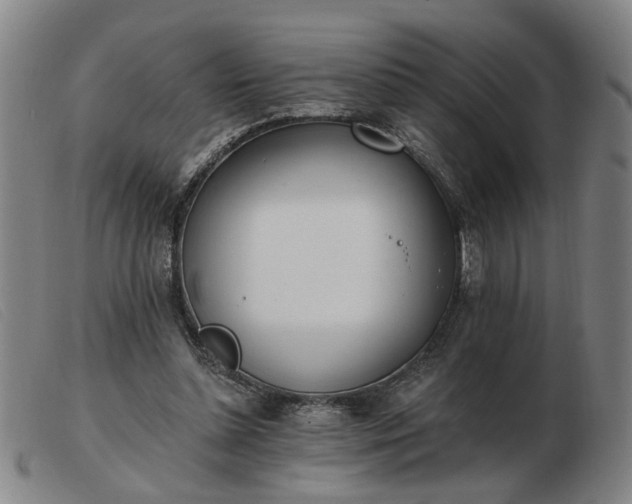 X0000103420348200809191642