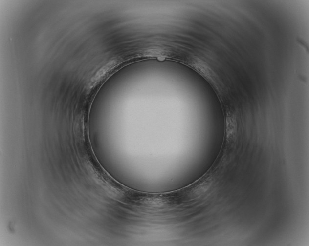 X0000103420349200809191642