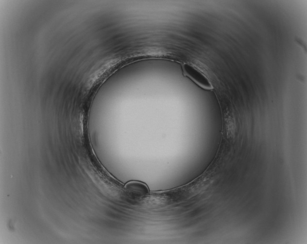 X0000103420350200809191642