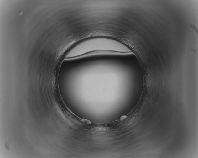 X0000103420352200809191642