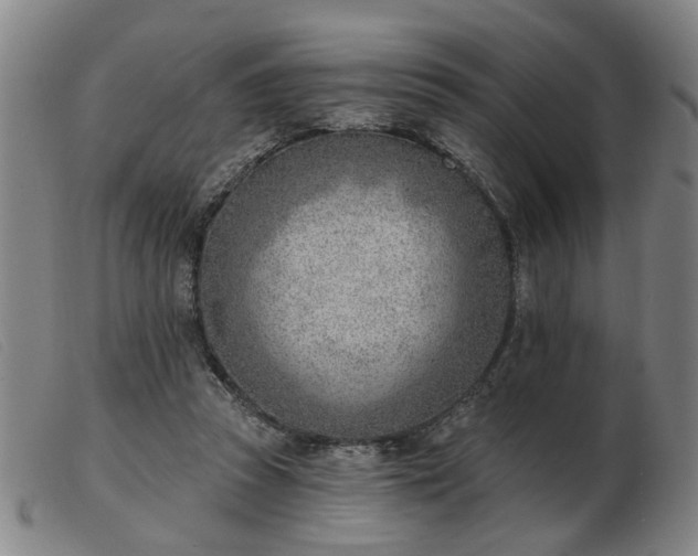 X0000103420353200809191642