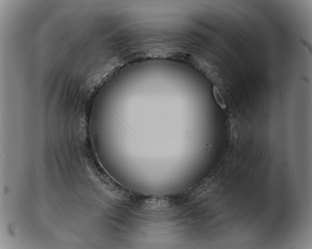 X0000103420354200809191642
