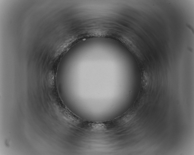 X0000103420355200809191642