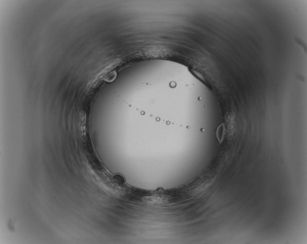 X0000103420356200809191642