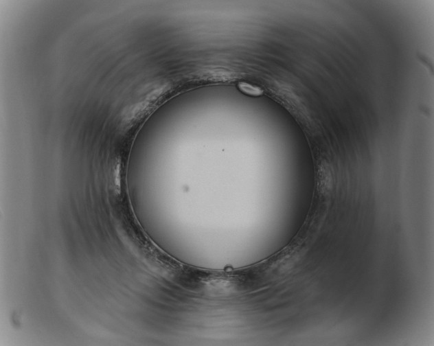 X0000103420358200809191643