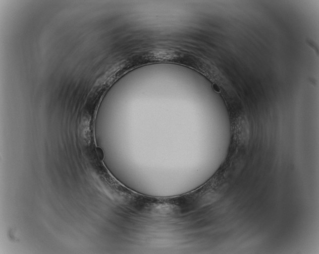 X0000103420360200809191643