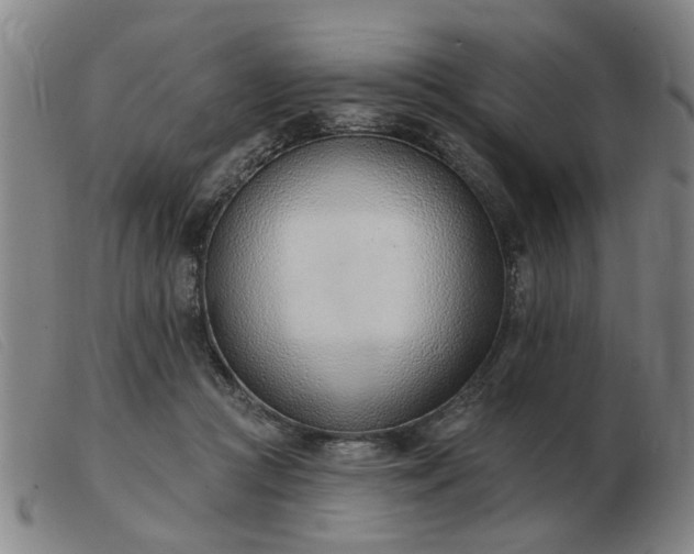 X0000103420361200809191643