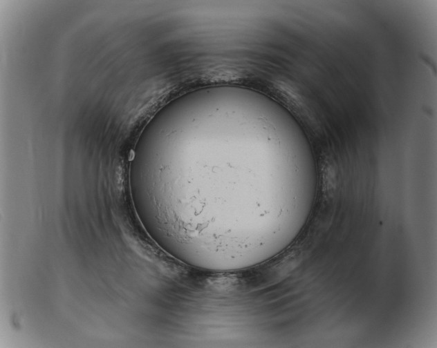 X0000103420362200809191643
