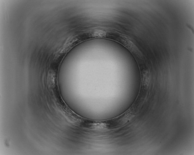 X0000103420363200809191643