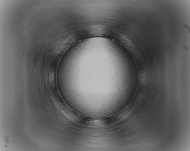 X0000103420365200809191643
