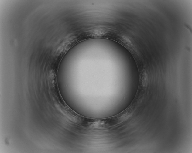 X0000103420366200809191643