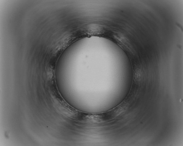 X0000103420367200809191643