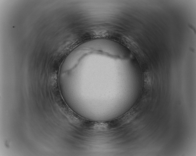 X0000103420369200809191643