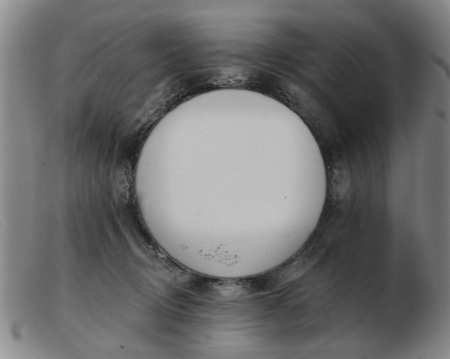 X0000103420370200809191643