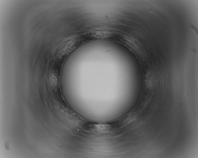 X0000103420371200809191643