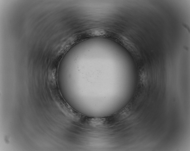 X0000103420373200809191643