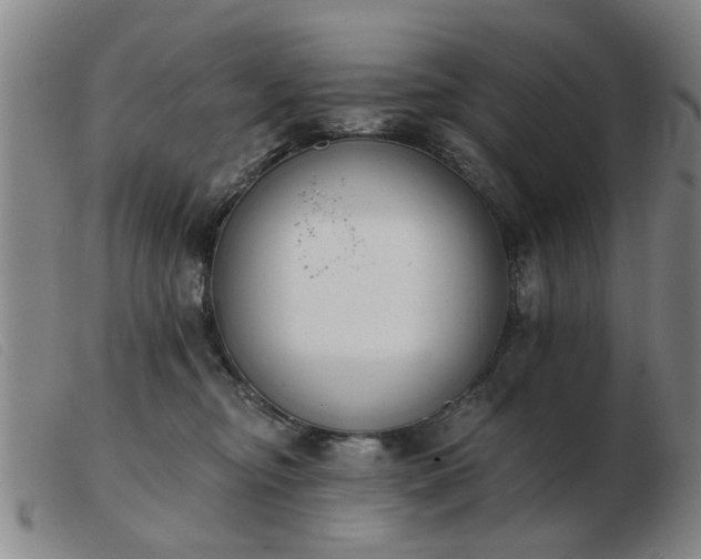 X0000103420374200809191643