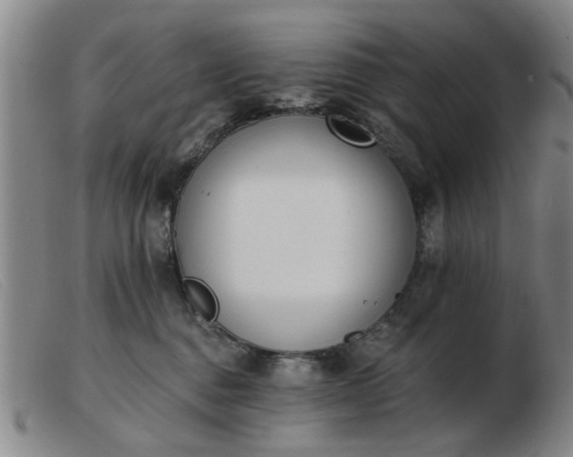 X0000103420376200809191643