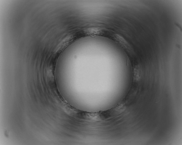 X0000103420377200809191643