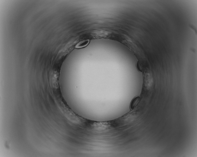 X0000103420378200809191643